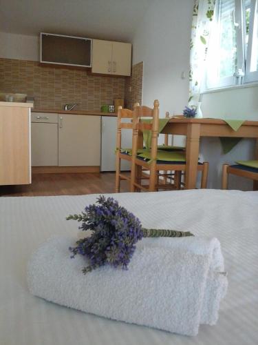 Apartments Anita Frane