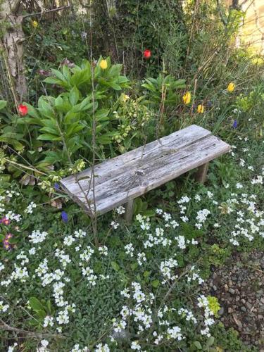 ~ Secret Garden near the Beach ~