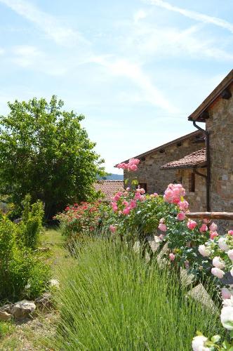 Agriturismo Podere Terrena