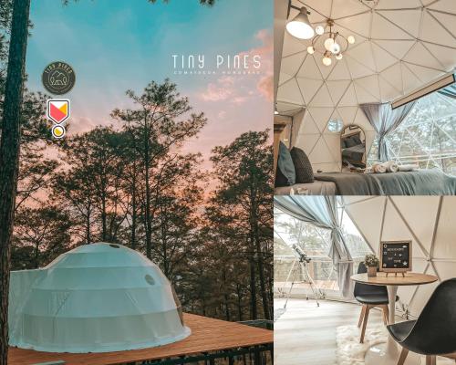 Tiny Pines A-Frame Cabin, Domes and Luxury Glamping Site in קומייגואה