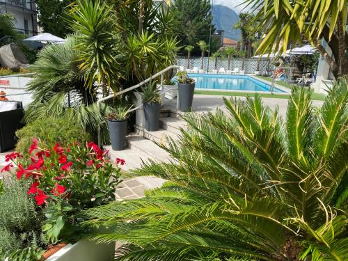 Hotel La Perla - image 8