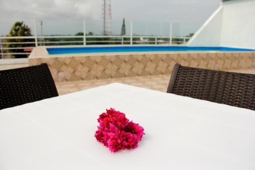 Balkons/terase, Hotel Crucero in Kodžimjesa