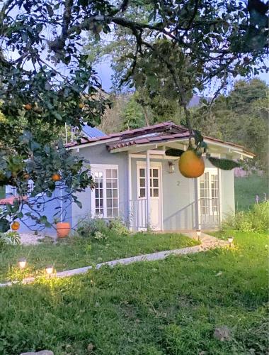 Cabaña entre montañas y café