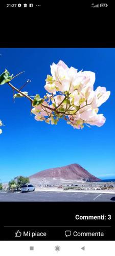 Ocean House chambre d'hôte Playa del Confital