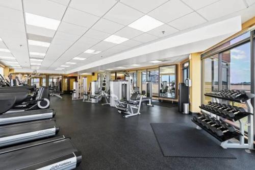 Incredible Apartment with Rooftop in Pentagon City in Arlington, USA