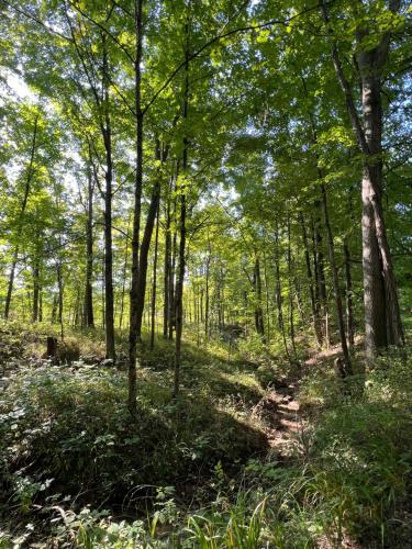 Athens and Albany's Hillside Haven