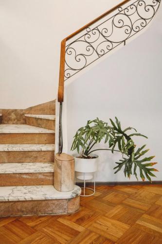 Anden Aristides in Mendoza