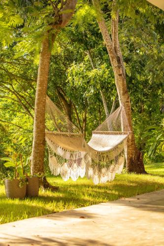 OYA - Wellness Eco Resort & Retreat