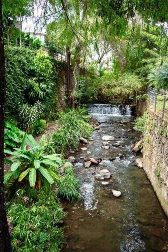 Casa Cascada, Cuernavaca. Alberca climatizada 24/7 in Cuernavaca, Mexico