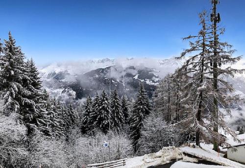View, Our little marmots' dream in Bagnes