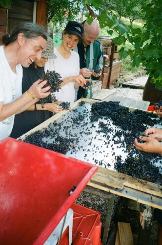  The Winemakers Lodge in SantʼAngelo