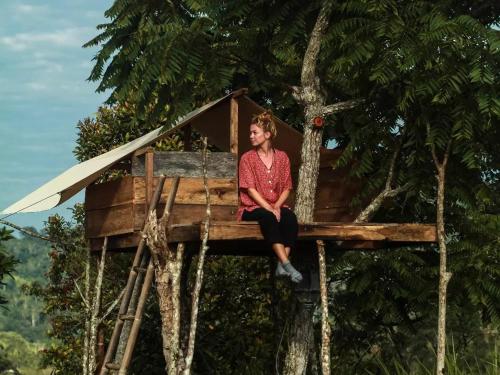 Tree House Krui