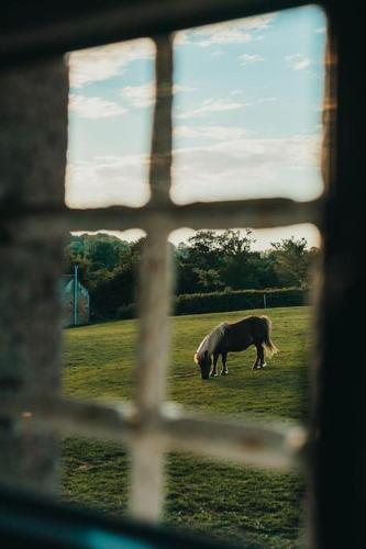 Gîte charmant à la campagne