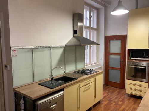 Downtown 3 BDR Charm - walk to all attractions, Bratislava (fotografie 8)
