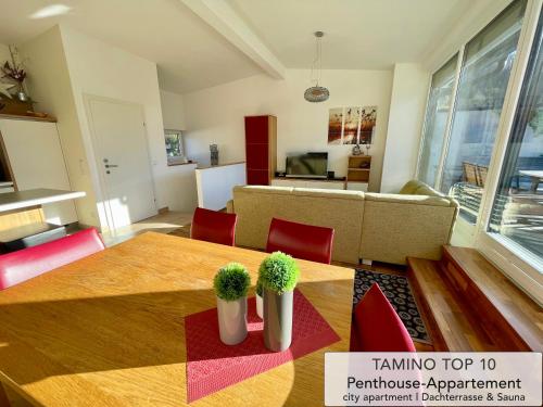 Penthouse TAMINO TOP 10 - image 3