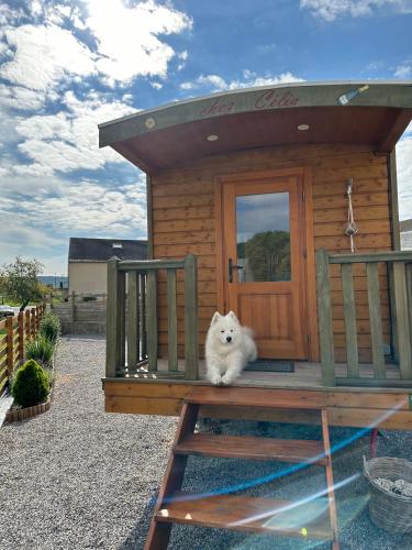 Chez Célia, Roulotte en Champagne gîte à louer Bois de Reims