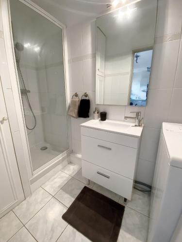 Shower, Appartement Cosy proche centre ville in Figuerolles