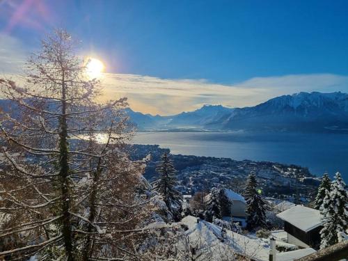 Le toit de Chardonne - Entre Alpes et lac Léman - Apartment - Chardonne