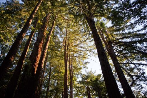 Alila Ventana Big Sur - Inclusive Resort