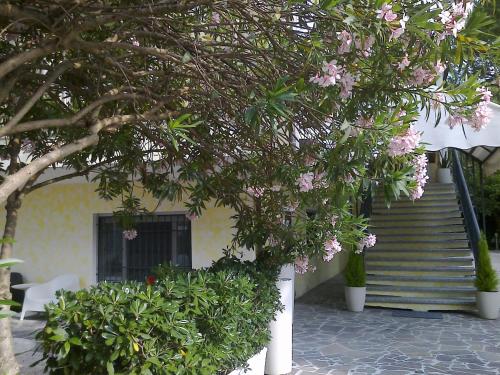 Hotel Augustus - main image
