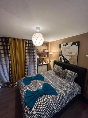 Appart & Studio Hyper Centre de Strasbourg - Proche Cathédrale & Petite France