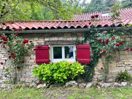 Chambre en bordure d'Aveyron - Accommodation - Saint-Antonin