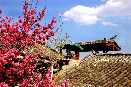 Lao Shay Youth Hostel Lijiang