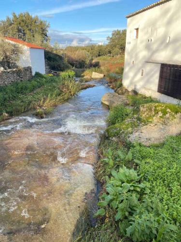 Horta da Fontinha - Marvão gîte à louer Barretos