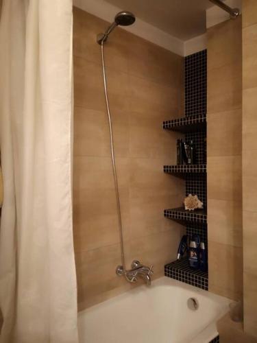 Shalom Corner *parking for free*