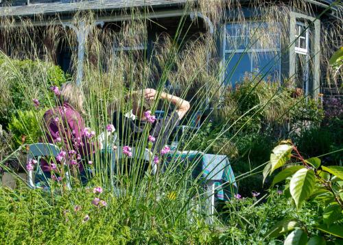 The Mount B&B - image 5