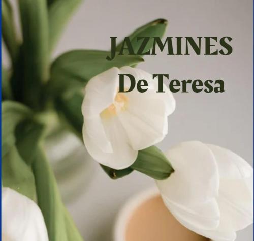 Jazmines de Teresa