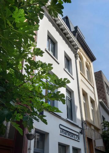 R73 Apartments by Domani Hotels, Amberes (foto 3)