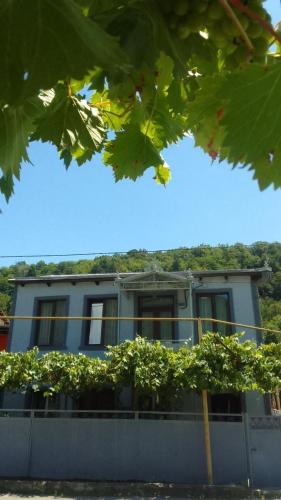 GuestHouse Oni-Li in Oni