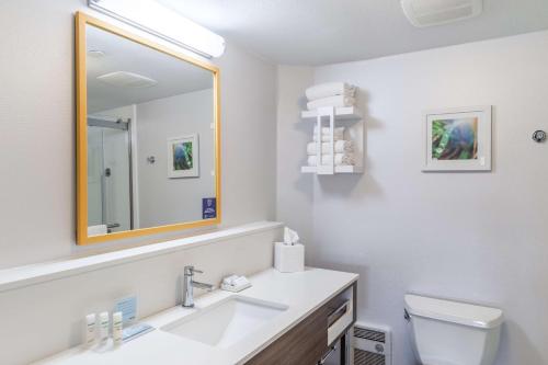 Hampton Inn La Crosse/Onalaska - image 11