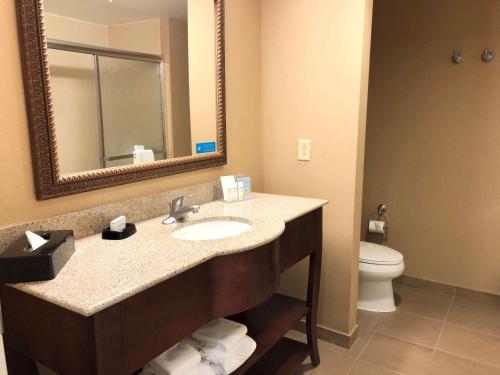 Hampton Inn & Suites Norfolk-Airport - image 6