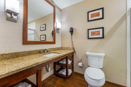 Comfort Inn&Suites - Hotel - Triadelphia