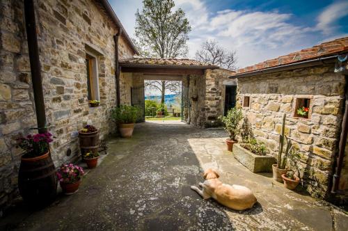 Agriturismo Podere il Palagio - Hotel - Fiesole