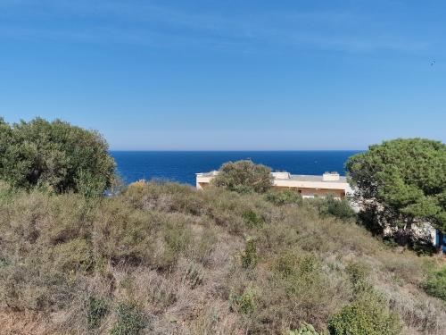 . Appartement Banyuls-sur-Mer, 3 pièces, 6 personnes - FR-1-309-130