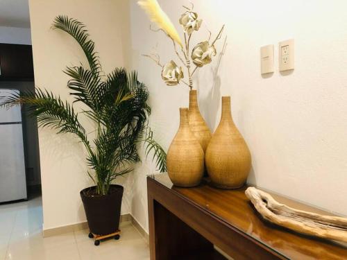 Magnolia A Luxury stay 5 minutes from Downtown in Tepatitlán de Morelos, Mexico