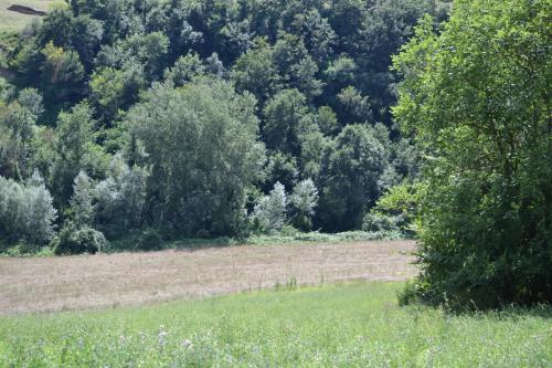 Podere Passatore