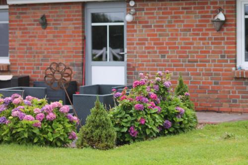 Balzwiekje Auszeit auf Pferdehof in Ostfriesland