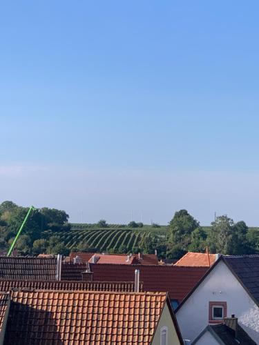 Ferienwohnung Weinbergblick