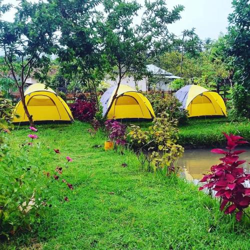 Montong Raden camping ground