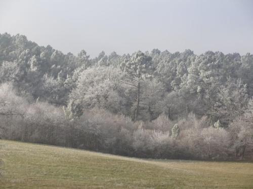 Votre gîte en Périgord : La Grangette.