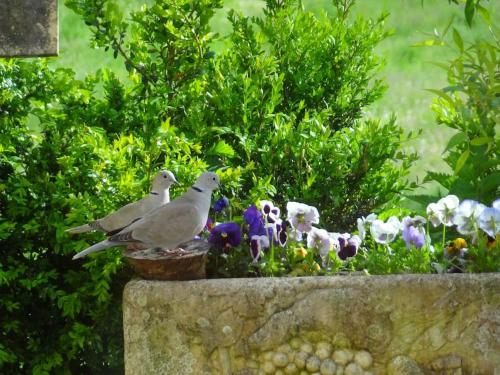 Votre gîte en Périgord : La Grangette.