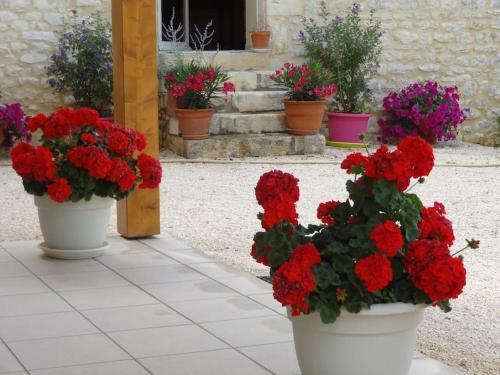 Votre gîte en Périgord : La Grangette.