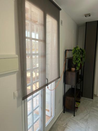 Triana Pelay Suites, Sevilla (Foto 9)