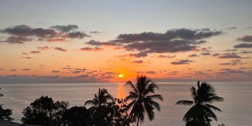주변 환경, Coin paisible du nord in 치코니