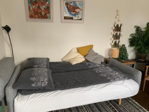 One-Bedroom Apartment image 2