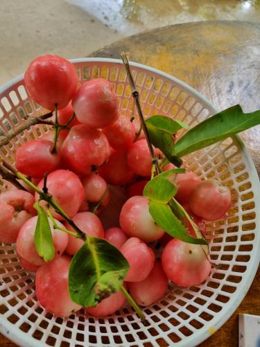 Homestay Nam Hàm Luông